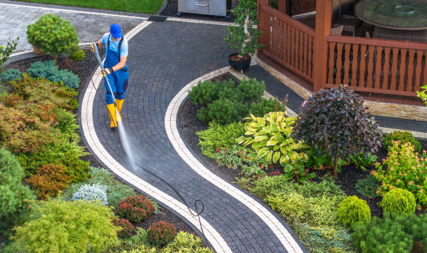 Best Pressure Washing Near Me  in Kouts, IN