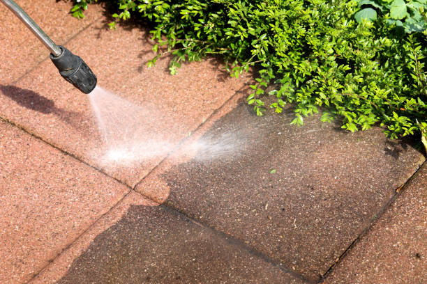 Best Best Pressure Washing Companies  in Kouts, IN